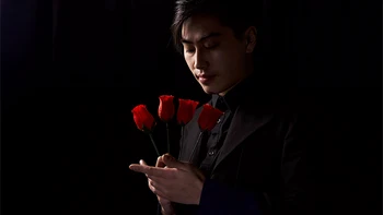 Y-Rose от Mr. Y & Bond Lee, Смяна на една роза на четири рози, магически подпори, Магията на Огъня, Илюзии, фокуси отблизо